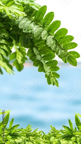 green leaves background
