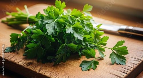 A bunch of fresh parsley tied together on a wooden cutting board with a knife nearby