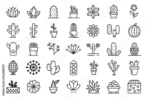 Collection of line icons depicting cactus aloe vera and botany elements isolated on transparent background