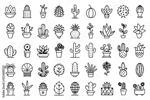 Collection of line icons depicting cactus aloe vera and botany elements isolated on transparent background