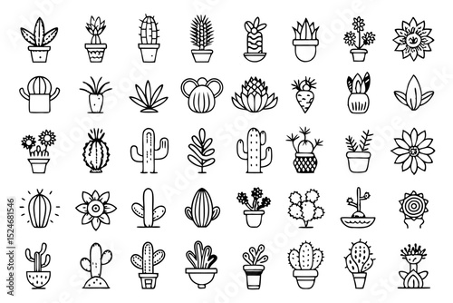 Collection of line icons depicting cactus aloe vera and botany elements isolated on transparent background