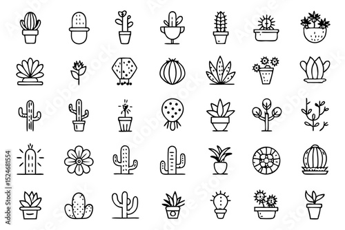 Collection of line icons depicting cactus aloe vera and botany elements isolated on transparent background