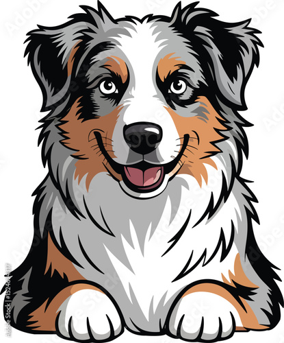 Cute Australian Shepherd Dog Vector