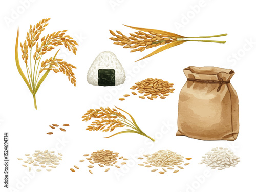 Vector watercolor rice / 水彩テイストの米・ごはんパターン