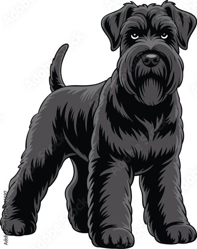 Cute Russian Terrier Dog Vector