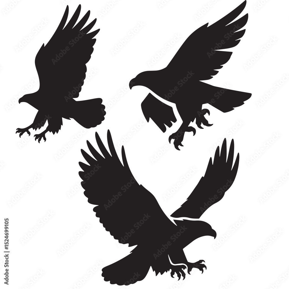 Obraz premium eagle flying silhouette