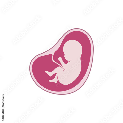 baby in womb fetus symbol logo vector