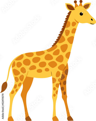 giraffe isolated on white background