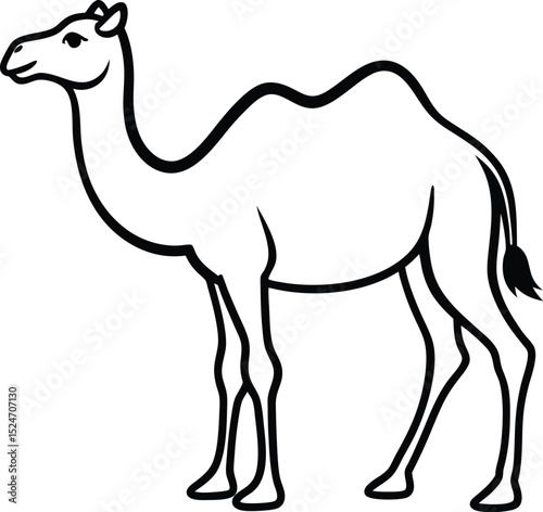 camel cartoon illustration