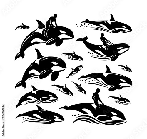 Orca whales silhouette collection ocean wildlife