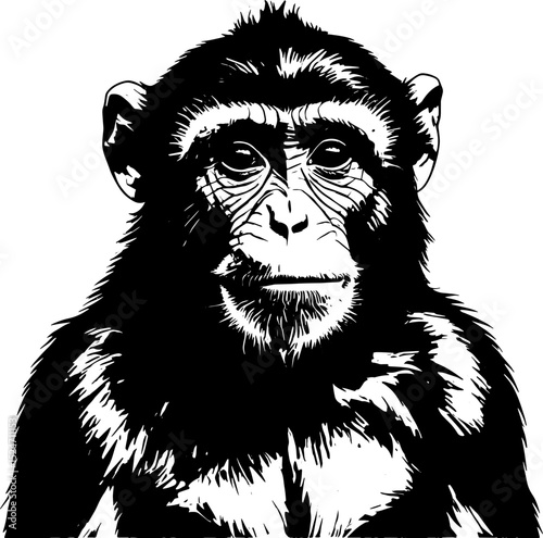 Powerful Black and White Chimpanzee Illustration Majestic Primate Portrait