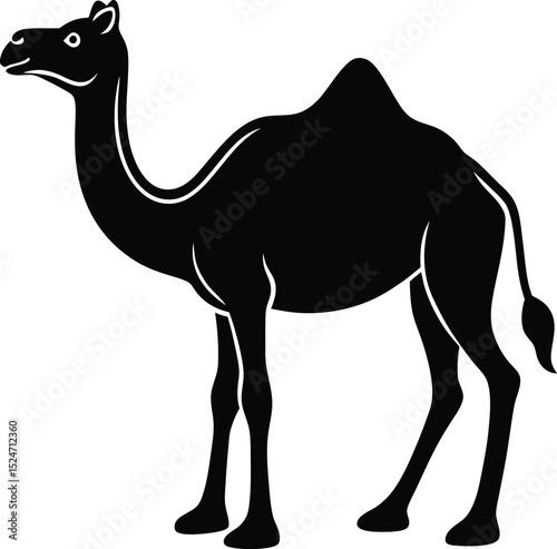 camel on the road