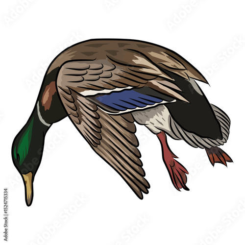 dead mallard duck hunting illustration logo vector image t shirt