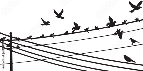 Silhouettes of birds on a wire with military aircraft flying in formation