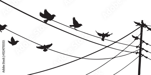 Birds on a wire with a floral branch silhouette illustration pattern