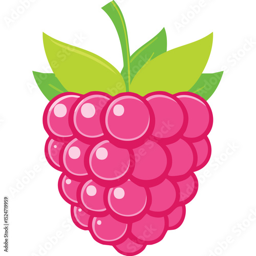 Raspberry A closeup vector illustration of a ripe raspberry with green leaves and stem