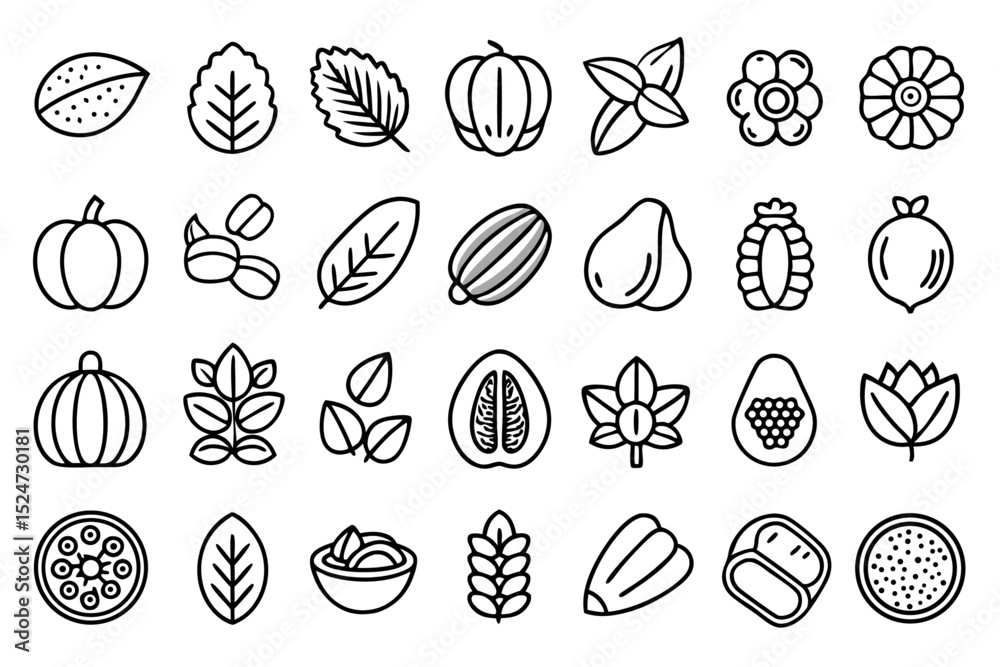 Fototapeta premium Collection of line icons depicting nuts seeds beans and walnuts isolated on transparent background