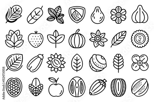 Collection of line icons depicting nuts seeds and beans including walnuts and sesame seeds isolated on transparent background