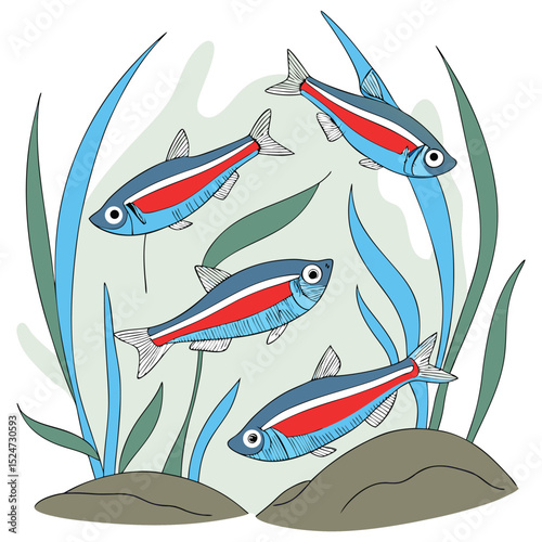 A vibrant vector collection of small neon tetra fish (Paracheirodon innesi), showcasing their iconic iridescent blue and red stripes, often depicted schooling.