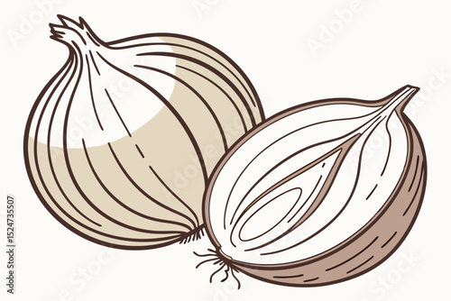 Organic Onion in Stunning Detail – Isolated PNG Format