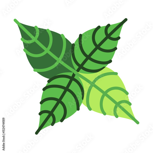 basil leaves icon	