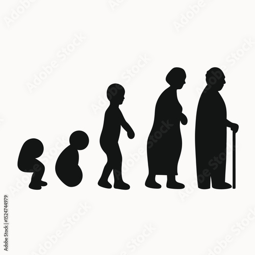 Stages of Life A Visual Representation of Human Growth and Aging