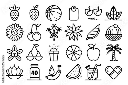 Tropical flower beach fruit line icons set isolated on transparent background