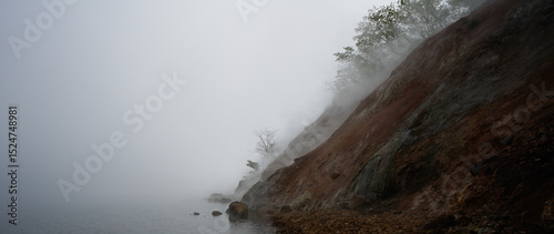 Scene from a Japanese Painting