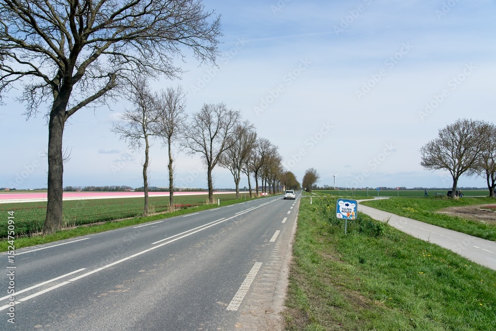 Fototapeta premium Big sky open landscape in the Dutch polder of Flevoland and Noordoostpolder in the Netherlands