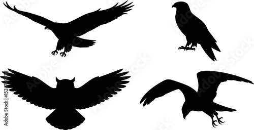 Silhouette birds of prey vector illustration eagle hawk owl falcon flying perched black and white art editable stock vector illustration