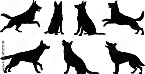 Silhouettes of german shepherd dogs in various poses against gray backdrop