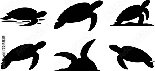Collection of six turtle silhouettes in various poses on a white background