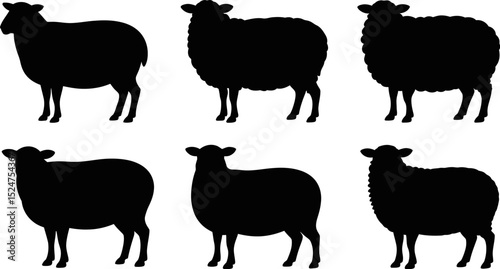 Silhouette illustration of six sheep arranged in two rows on white background