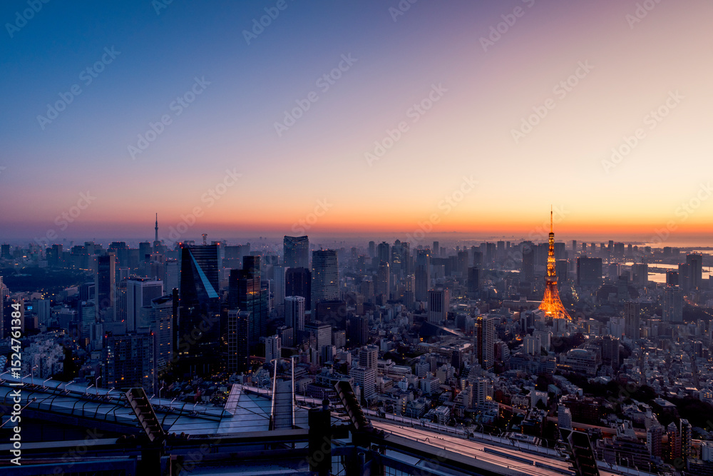 Obraz premium 朝日を浴びる東京都心のビル群