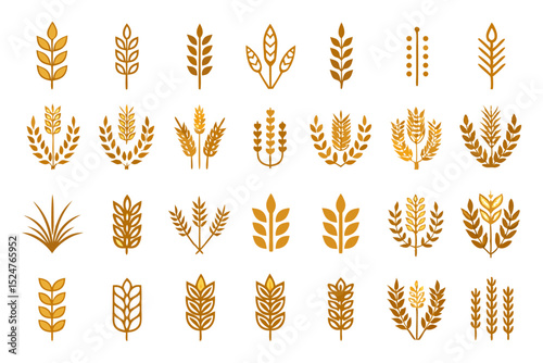 Wheat logo design elements isolated on transparent background