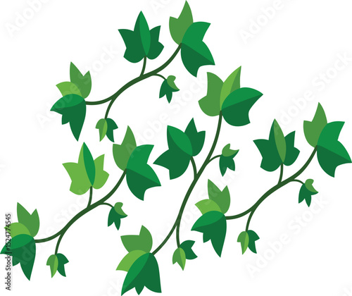 
Ivy Plant Segment – Climbing Plant with Lobed Leaves for Stock and Free Images