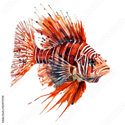 Lionfish Close Up, watercolor painting vector, high quality, isolated on a white background.