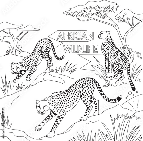 Cute safari vector illustration of wild baby cheetah, leopard, giraffe, and zebra