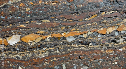 A detailed cross-section of an igneous rock, showing layers of minerals 