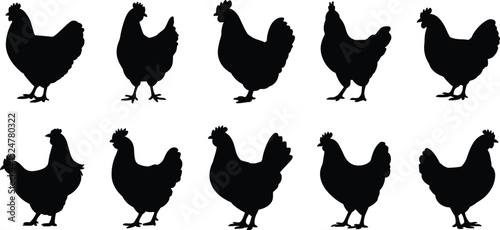 Silhouette collection of chickens in various poses, black poultry hen illustration, vector farm animal design, countryside bird graphic elements