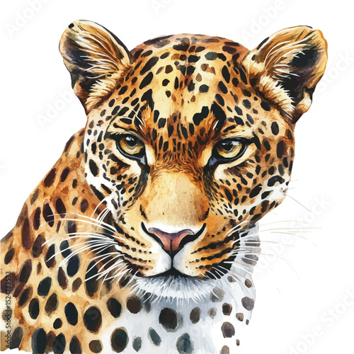 watercolor of Leopard Close Up, vector high quality, isolated on a white background.
