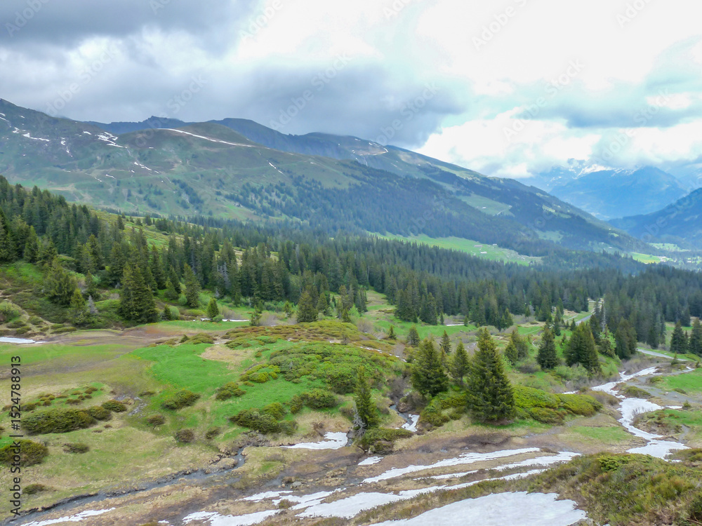 Obraz premium Switzerland, Meiringen, a path with trees on the side of a mountain