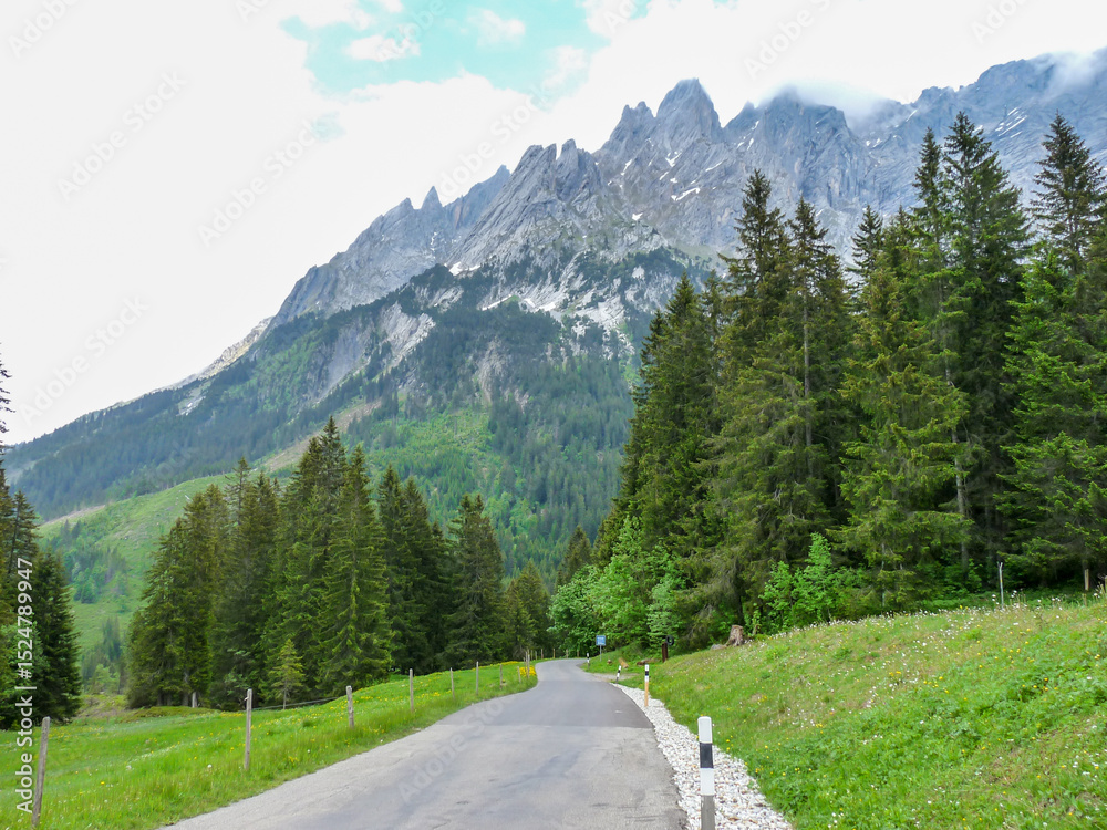 Fototapeta premium Switzerland, Meiringen, a path with trees on the side of a mountain