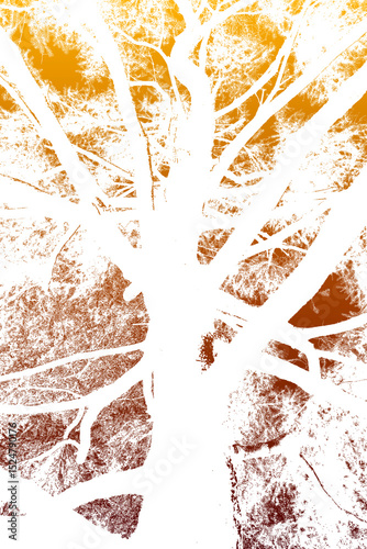An abstract, high-contrast image featuring a white tree silhouette
