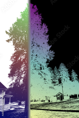 An artistically divided image showing a color-shifted tree and landscape