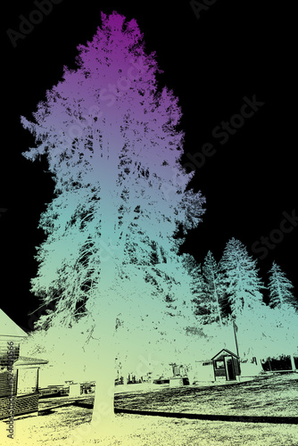 An abstract, color-shifted tall pine tree with a purple, blue, and yellow gradient stands against a black sky