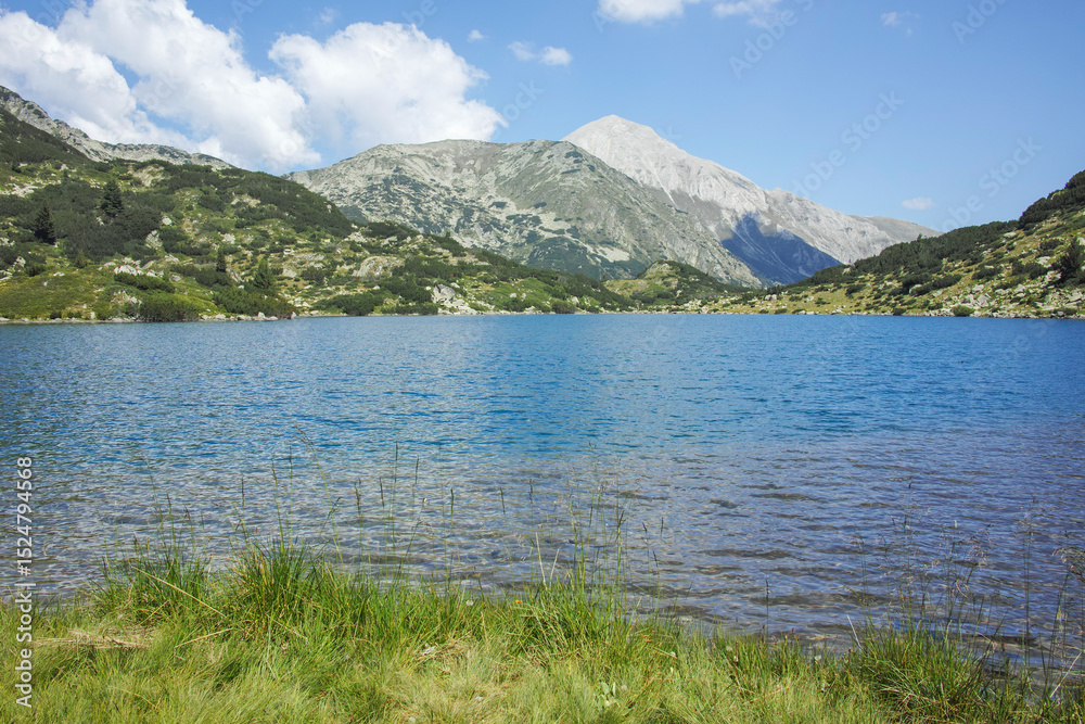 Fototapeta premium Landscape of Pirin Mountain near Banderitsa Area, Bulgaria
