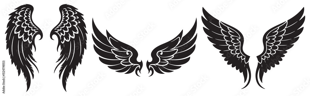 Fototapeta premium wings set vector illustration icon style in white backraund