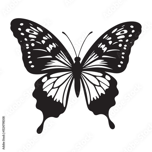Butterfly vector illustration with colorful wings on white background showing isolated insect in nature
