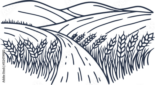 Country landscape road with wheat fields and hills rural farmland scene, agricultural harvest fields illustration